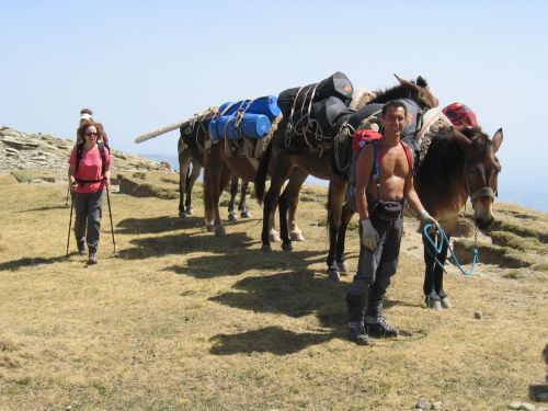 trekking con i muli-34.JPG